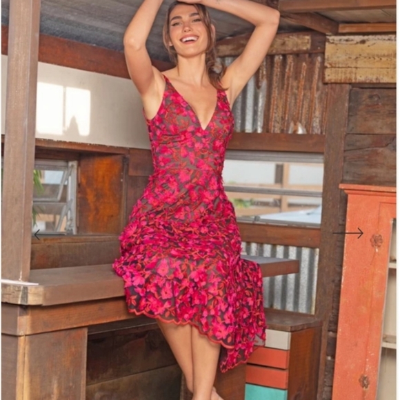 Dress The Population Elisa Playful Embroidered Midi Dress - Picture 3 of 10